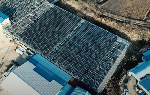 [지붕형 / 온실] 강원도 양구군 온실태양광 - 200kW